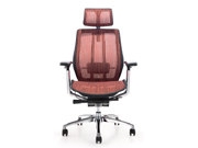 Mesh Executive ChairCG-988_Office Furniture_Mesh Executive Chair_Office Chair